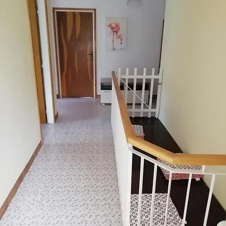 Large In With Free Barbecue Apartment Silo (Krk)