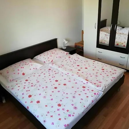 Large In With Free Barbecue Apartment